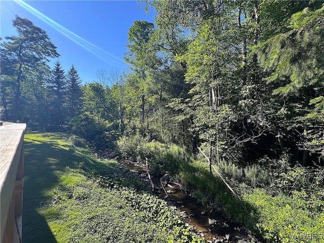 6924 Rte 242 W, Ellicottville, NY 14731 - photo 6