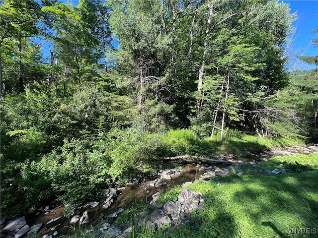 6924 Rte 242 W, Ellicottville, NY 14731 - photo 10