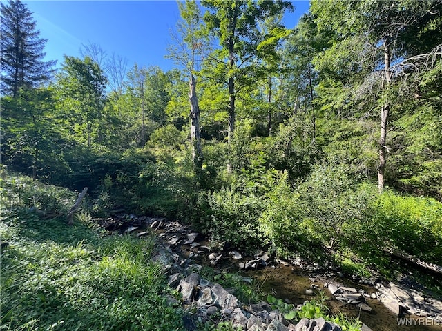 6924 Rte 242 W, Ellicottville, NY 14731 - photo 11
