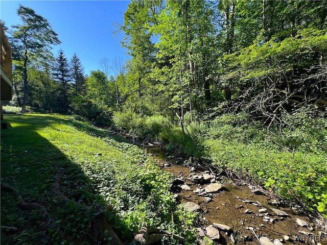 6924 Rte 242 W, Ellicottville, NY 14731 - photo 12