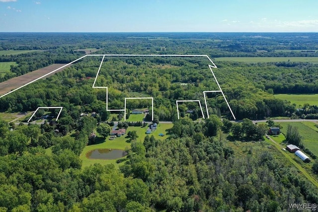 Ewings Rd, Newfane, NY 14094 - photo 1