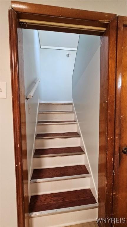 98 Olympic Ave, Buffalo, NY 14215 - photo 13
