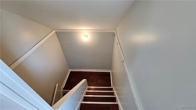 98 Olympic Ave, Buffalo, NY 14215 - photo 14