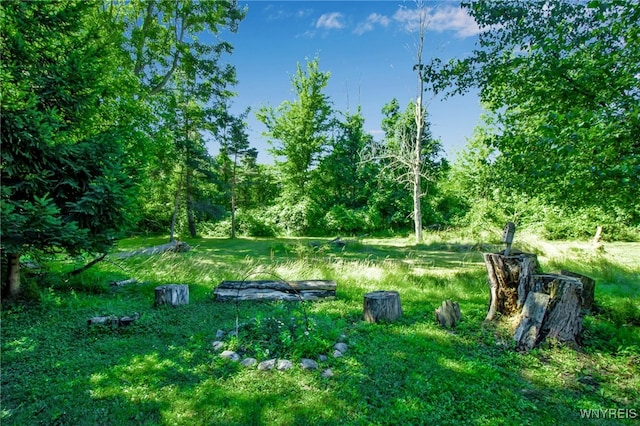 7072 Chestnut Ridge Rd, Lockport Town, NY 14094 - photo 32