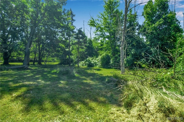 7072 Chestnut Ridge Rd, Lockport Town, NY 14094 - photo 33