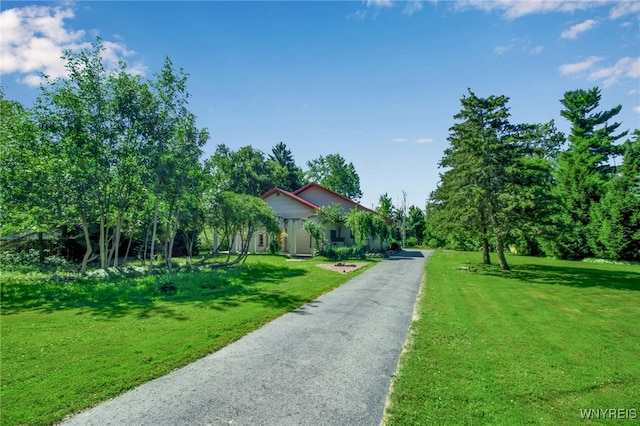 7072 Chestnut Ridge Rd, Lockport Town, NY 14094 - photo 4