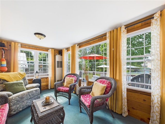 106 E Williams St, Waterloo, NY 13165 - photo 31