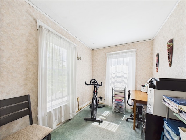 106 E Williams St, Waterloo, NY 13165 - photo 25