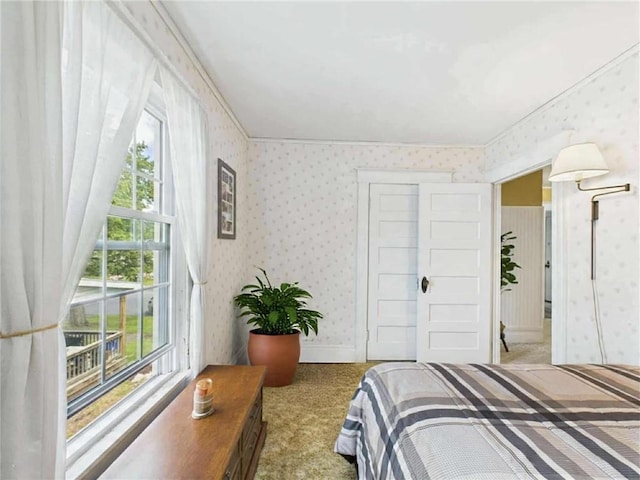 106 E Williams St, Waterloo, NY 13165 - photo 22