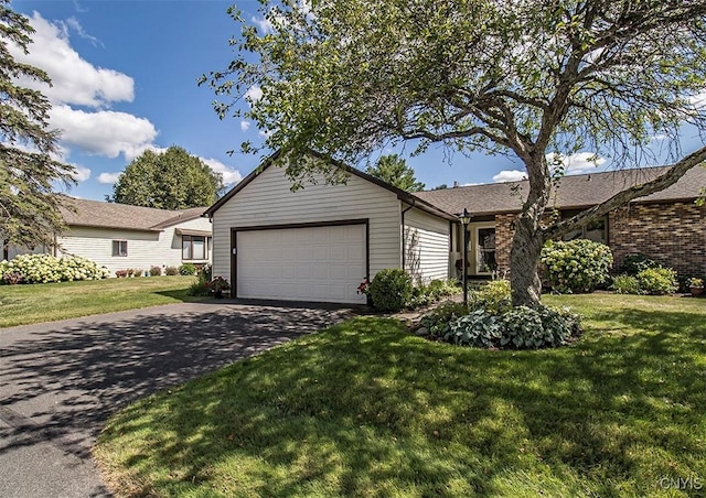 713 Kimry Moor, Manlius, NY 13066 - photo 1