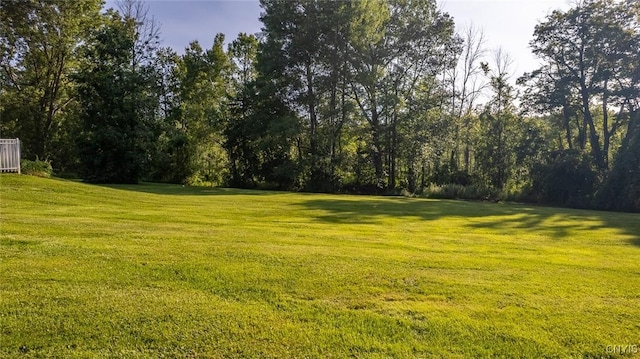 5317 Mark Ln, Cazenovia, NY 13035 - photo 48