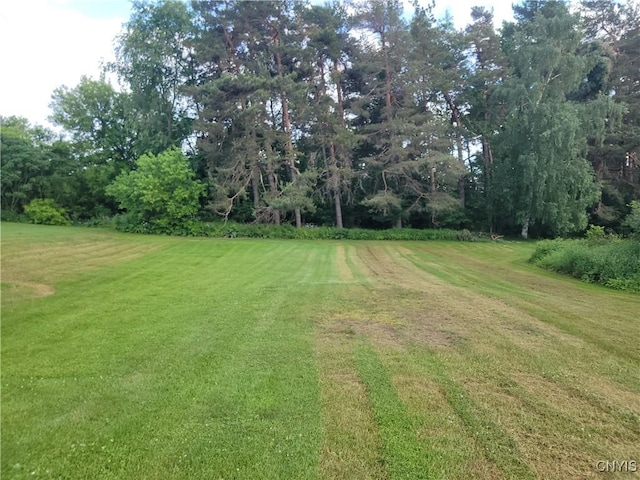 2980 Cataract St, Denmark, NY 13626 - photo 35