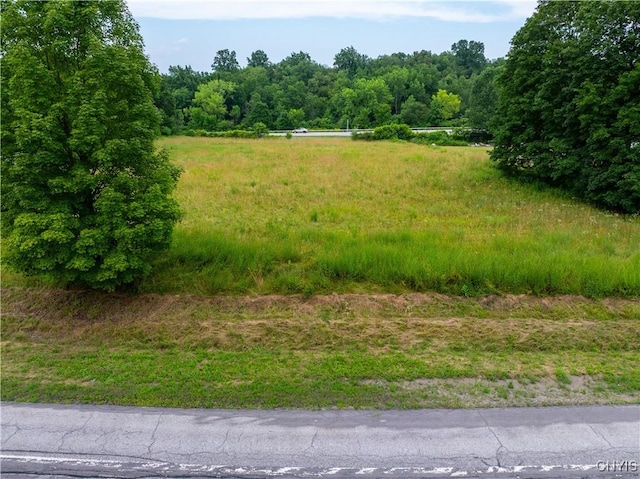 LOT13.2 State Route 169, Danube, NY 13365 - photo 1