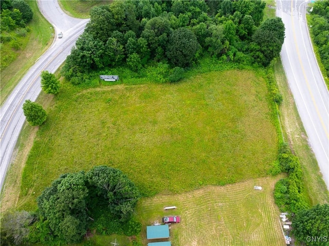 LOT13.2 State Route 169, Danube, NY 13365 - photo 4