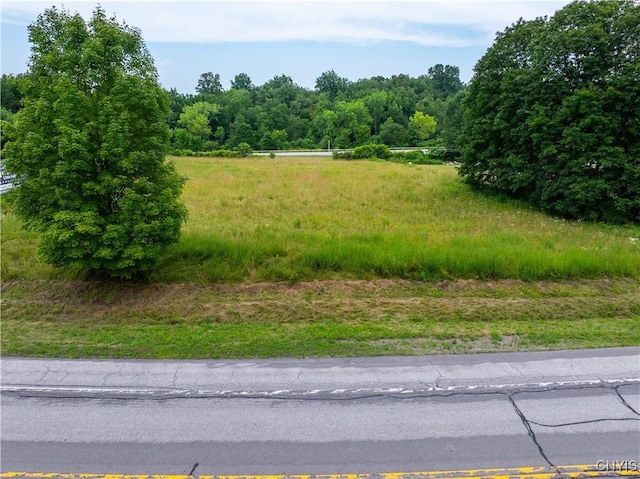 LOT13.2 State Route 169, Danube, NY 13365 - photo 5