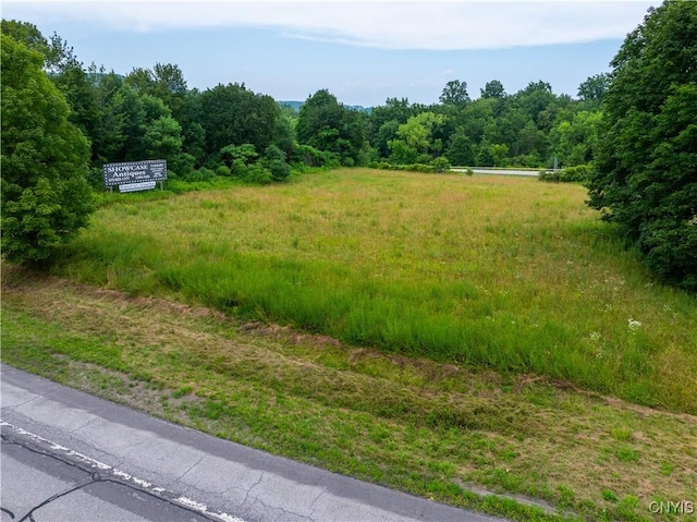 LOT13.2 State Route 169, Danube, NY 13365 - photo 6