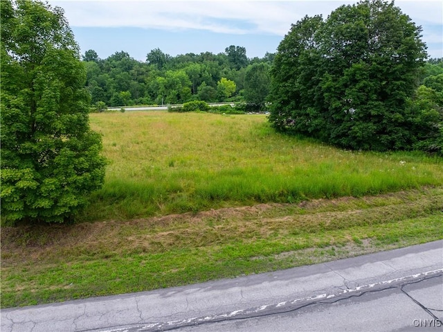 LOT13.2 State Route 169, Danube, NY 13365 - photo 7