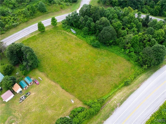 LOT13.2 State Route 169, Danube, NY 13365 - photo 8