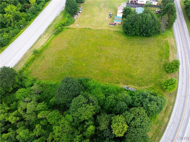 LOT13.2 State Route 169, Danube, NY 13365 - photo 9