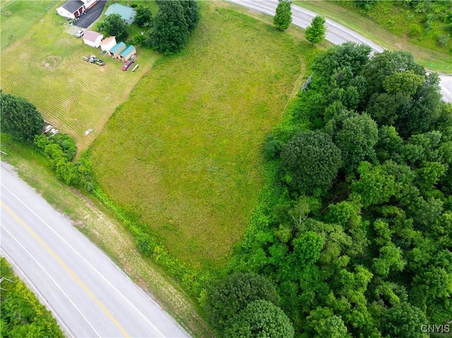 LOT13.2 State Route 169, Danube, NY 13365 - photo 10