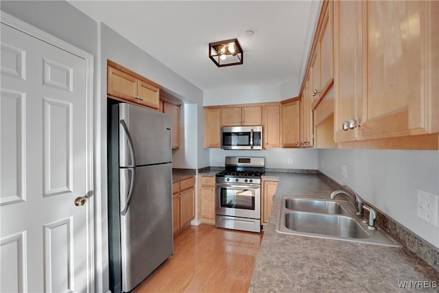 4331 Berkley Pl Unit L3, Hamburg, NY 14075 - photo 7