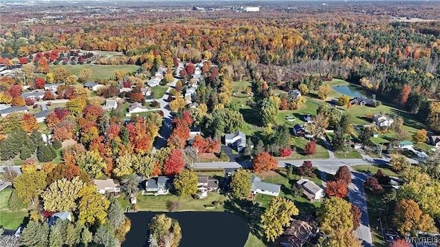 5161 Armor Duells Rd, Orchard Park, NY 14127 - photo 50