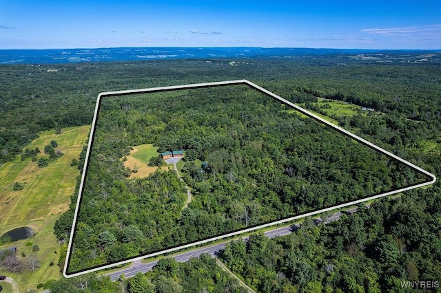 3350 County Road 21, Tyrone, NY 14891 - photo 5