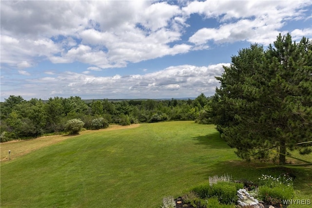 3350 County Road 21, Tyrone, NY 14891 - photo 36