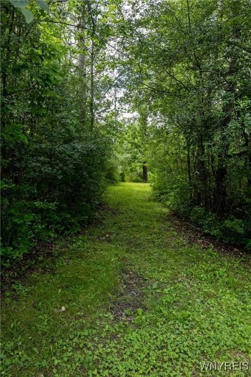 3350 County Road 21, Tyrone, NY 14891 - photo 43