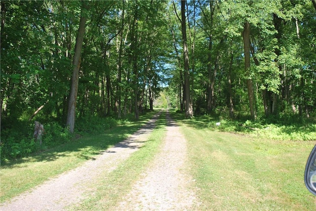 6004 Barclay Rd, Sodus, NY 14551 - photo 29