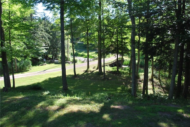 6004 Barclay Rd, Sodus, NY 14551 - photo 30