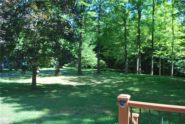 6004 Barclay Rd, Sodus, NY 14551 - photo 33
