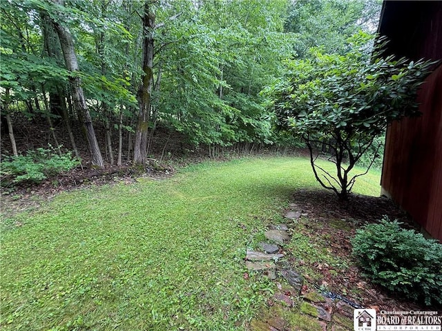 5555 Nichols Run Rd, Carrollton, NY 14753 - photo 17