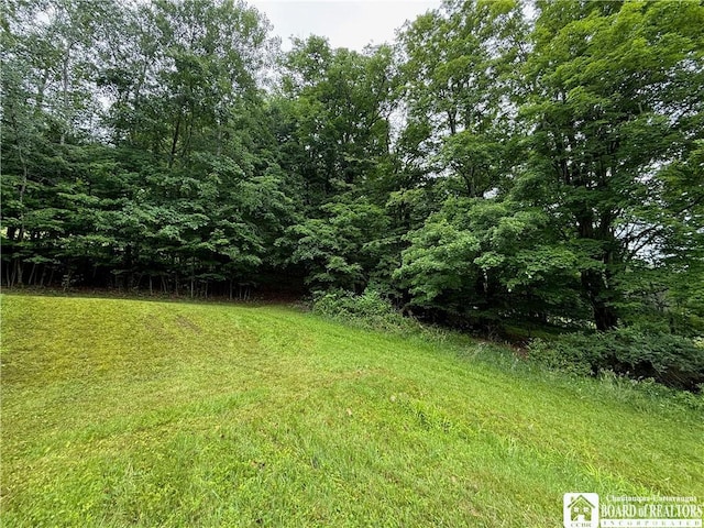 5555 Nichols Run Rd, Carrollton, NY 14753 - photo 25