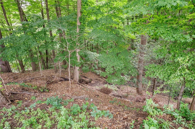 55 Cobbles Dr, Penfield, NY 14526 - photo 4