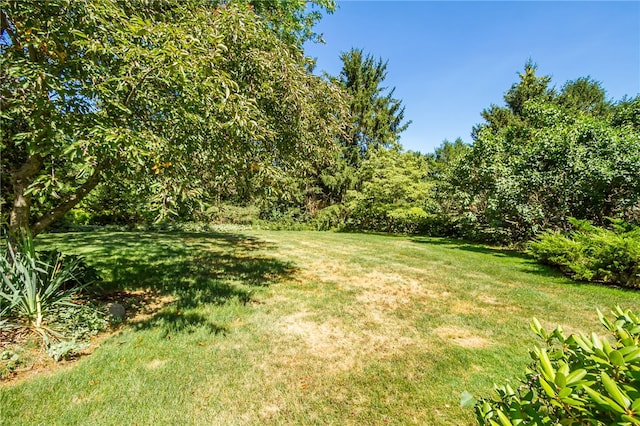 40 Drumlin View Dr, Mendon, NY 14506 - photo 42