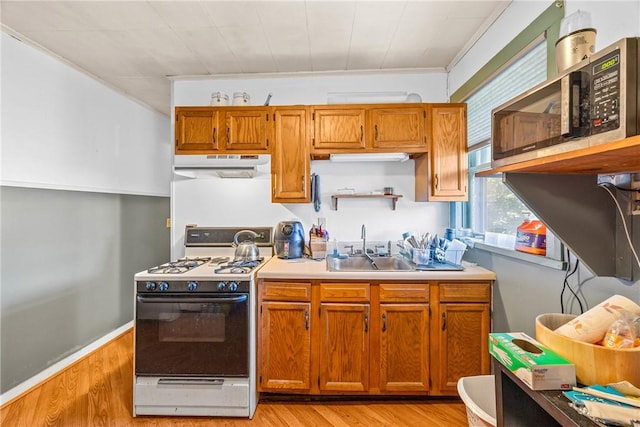 20 Rowley St, Rochester, NY 14607 - photo 27
