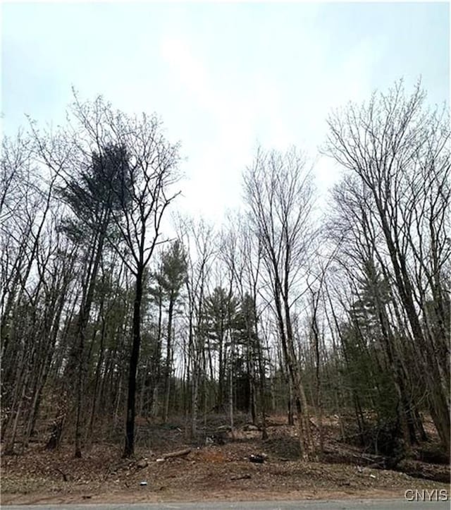 158 Potter Rd, West Monroe, NY 13167 - photo 1