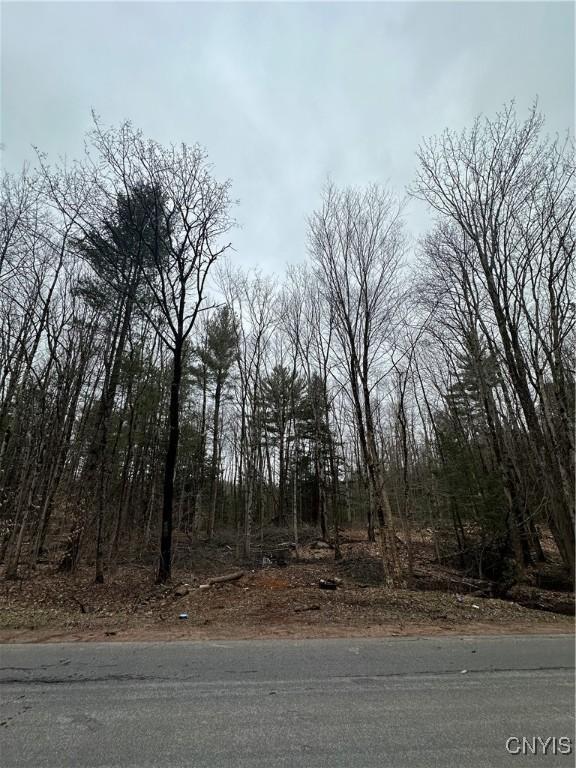 158 Potter Rd, West Monroe, NY 13167 - photo 2