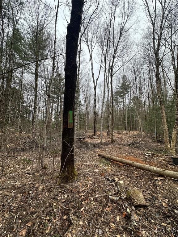 158 Potter Rd, West Monroe, NY 13167 - photo 3