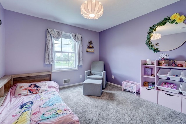 2012 Rainbow Ln, Lima, NY 14485 - photo 24