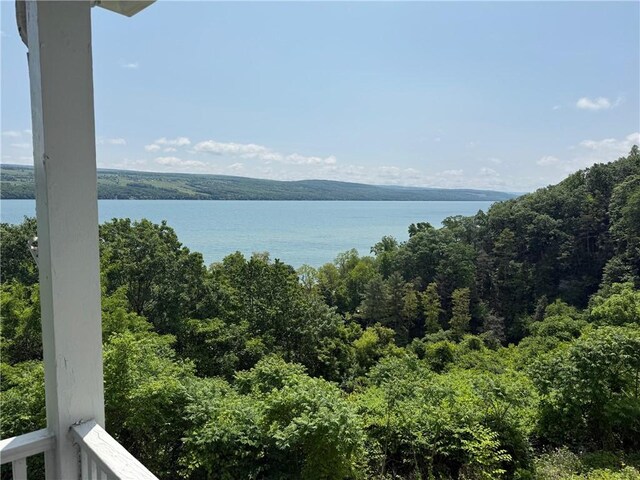 49 N Glenora Rd, Starkey, NY 14837 - photo 5