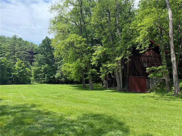 49 N Glenora Rd, Starkey, NY 14837 - photo 8