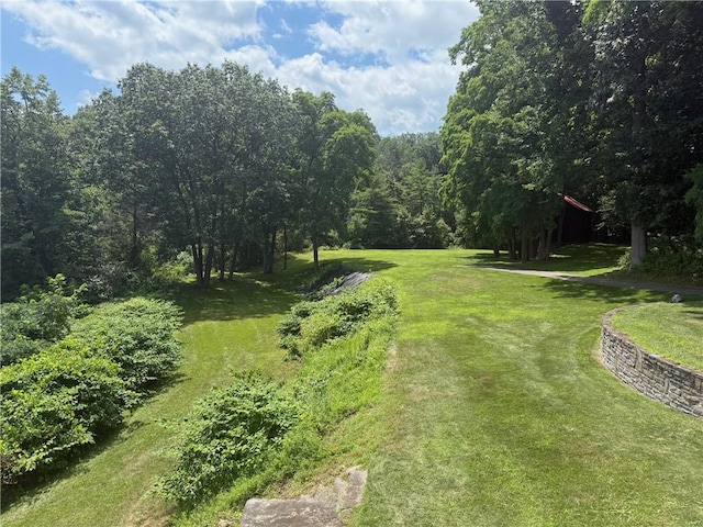 49 N Glenora Rd, Starkey, NY 14837 - photo 12