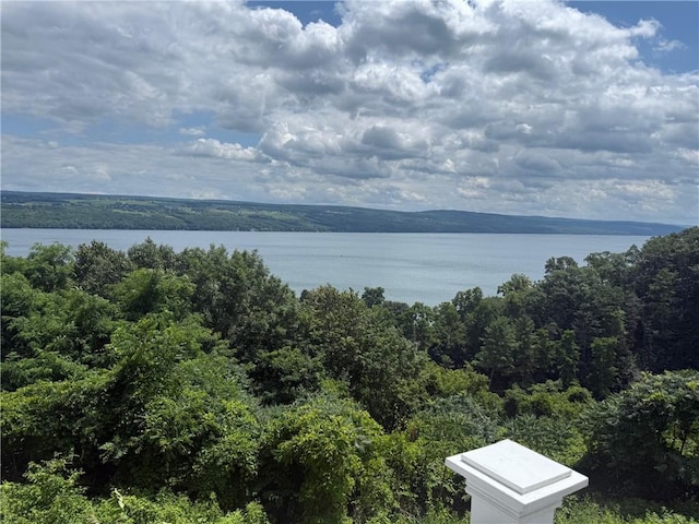 49 N Glenora Rd, Starkey, NY 14837 - photo 4