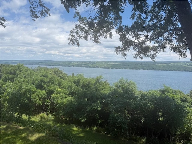 49 N Glenora Rd, Starkey, NY 14837 - photo 18