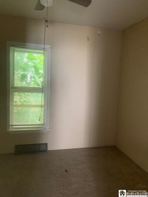 13 Charles St, Jamestown, NY 14701 - photo 8