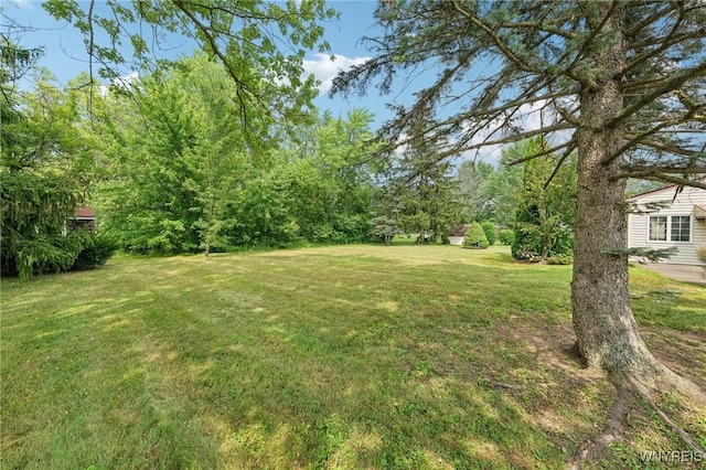 2873 Tallman St, Lewiston, NY 14132 - photo 46