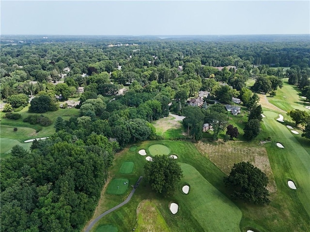 12 Elmwood Hill Ln, Brighton, NY 14610 - photo 5