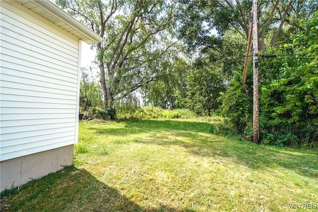61 Holbrook St, Lackawanna, NY 14218 - photo 23